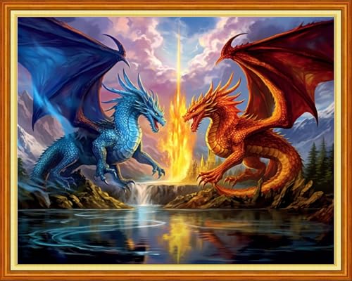 Image of Foxhool Stamped Cross Stitch Kits,11CT Printed Cross Stitch Pattern Full Embroidery Kits for Beginner Needlepoint Kits-Two Dragons 16x20 inch