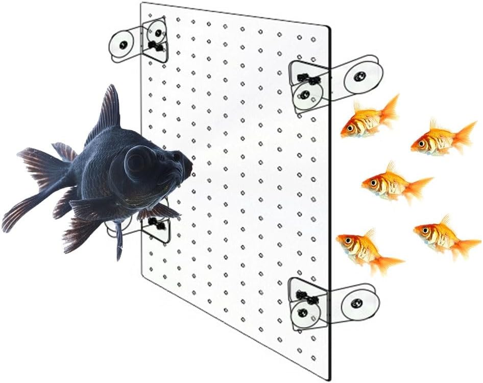 Aquarium Fish Tank Divider, Fish Tank Bulkhead Separation Plate Transparent Acrylic Baffle Plate for Aquarium Fish Tank Separation Plate Separation Net Customized