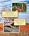 Awesome Animals of Australia: The Continent and Its Creatures Great and Small (Curious Fox Books) For Kids Ages 5-10, Photos and Fun Facts - Kangaroo, Koala, Tasmanian Devil, Crocodiles, and More