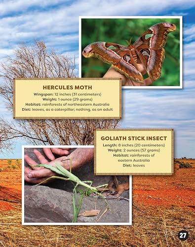 Awesome Animals of Australia: The Continent and Its Creatures Great and Small (Curious Fox Books) For Kids Ages 5-10, Photos and Fun Facts - Kangaroo, Koala, Tasmanian Devil, Crocodiles, and More - Image 4