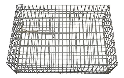 Bandito Bc06g Galvanized Chum Box, Chum Cage 4 X 8 X 12 Inches