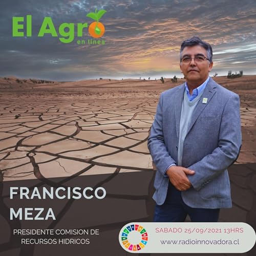 Situaci&oacute;n actual de la segu&iacute;a en Chile entrevista a Francisco Meza