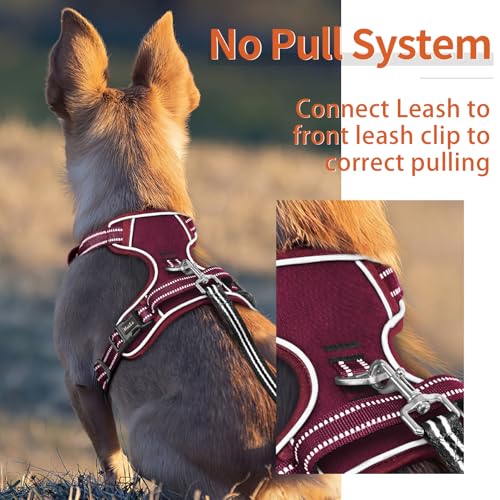 Image of HEELE Dog Harness for Small Dogs No Pull Dog Vest Harness for Small Dog with Soft Padded Handle Reflective for Outdoor Training, Burgundy Red, S