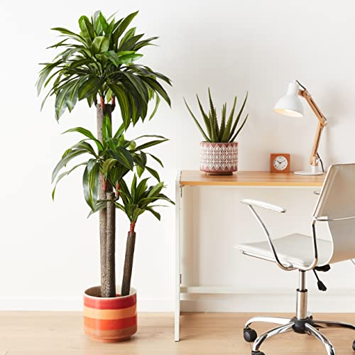 Amazon Basics Artificial Dracaena Tree With Plastic Faux Terracotta Pot, 60-Inch #TOP4