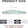 Lucky Craft Wander Slim 110 Saltwater Fishing Lures, 4-3/8" Slow-Sinking Pencil Lure for Halibut, Surf Perch & Striped Bass, Long-Casting Fishing Gear, 737 Salty Aurora Black #1