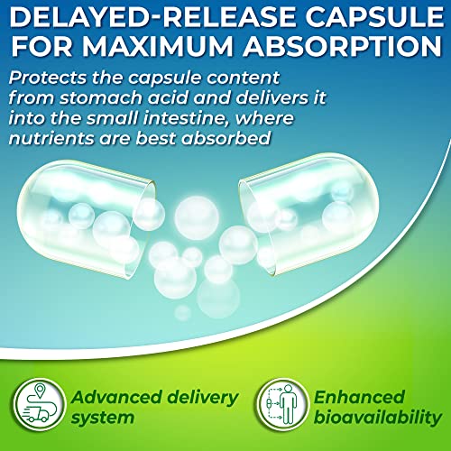 Optimal DIM 200mg Supplement for Women and Men - Made with Organic Whole Foods - Estrogen & Hormone Balance Support Diindolylmethane Complex - Maximum Absorption Delayed-Release Capsules - 60 Count - Image 4