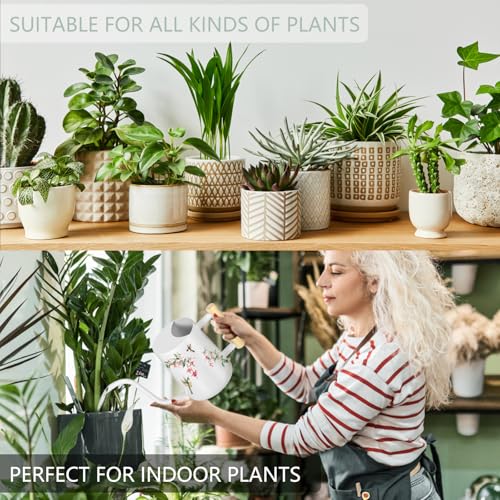 Image of Watering Can Indoor Plants, 35oz Small Stainless Steel Metal Watering Can Modern Decorative Watering Pot with Long Spout for Indoor House Plant Bonsai Garden Flowers (White 1)
