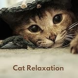 Cat Music