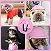 GUGELIVES Pet Dog Helmet Doggie Hardhat for Pets Chihuahua Motorcycles Bike Outdoor Protect Head Sunproof Rainproof Small Medium Large Puppy Helmets Supplies(S, Pink)