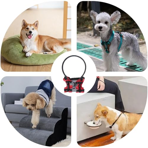 Halo chien aveugle réglable pour stopper les collisions - 4