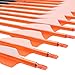 Carbon Arrows 28 Inch Targeting Practice Hunting Arrow Fluorescence Color for Compound Bow and Recurve Bow with 100 Grain Removable Tips (Pack of 12)