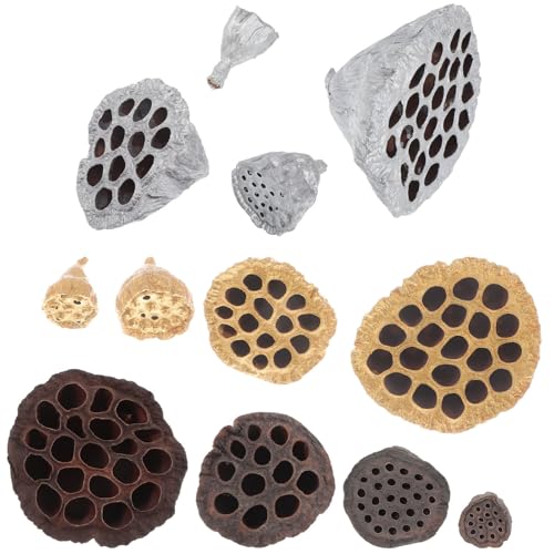 TOVINANNA 12 Piezas Vainas de Semillas de Loto Secas Naturales para Decoración del Hogar, Duraderas y Resistentes, Ideales para Adornos Navideños y Decoración de Fiesta Varios Estilos