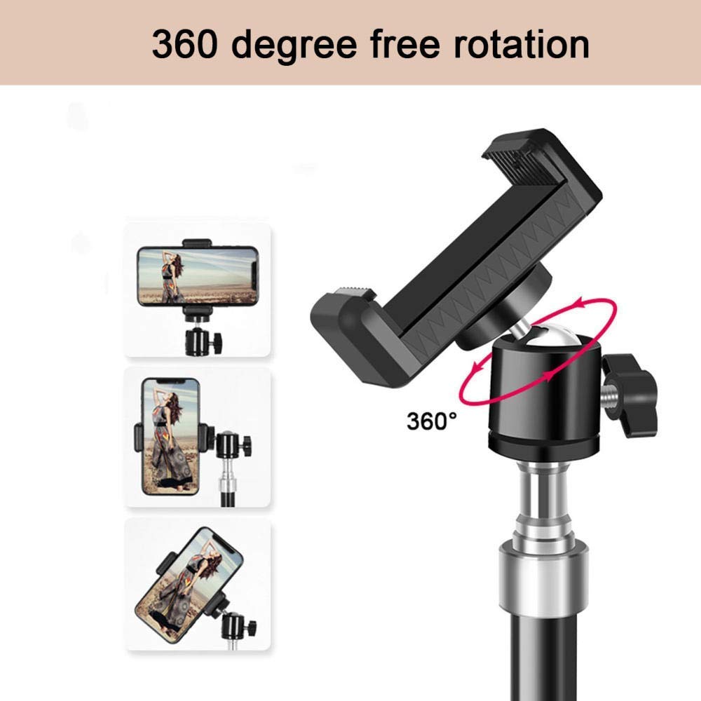 Luce ad Anello da 10 Pollici con Supporto per treppiede Supporto per Cellulare Dimmerabile Luce ad Anello per Fotocamera a LED per Trucco Live Streaming Fotografia Video Youtube 3 modalità