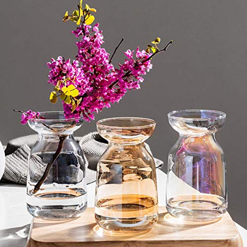 Glass Hyacinth Hydroponic Glass Vase Plating Colorful Desktop Plant Bud Vase Floral Arrangements Artificia Unique Shapes Creative For Tables Centerpieces Wedding Home Garden Decration #TOP1