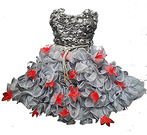 Image of Fit & Flare Net Fabric Frock Dress Frocks for Baby Girls
