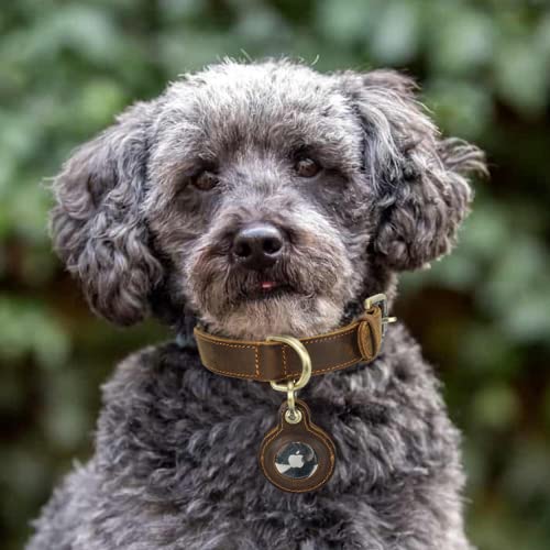 Catapurus Top Grain Leather Dog Collar, Heavy Duty Breathable Durable Hardware, Adjustable Rust-Proof Metal Buckle With Airtag Holder For Small Medium Large Dogs (S, Brown) #TOP5