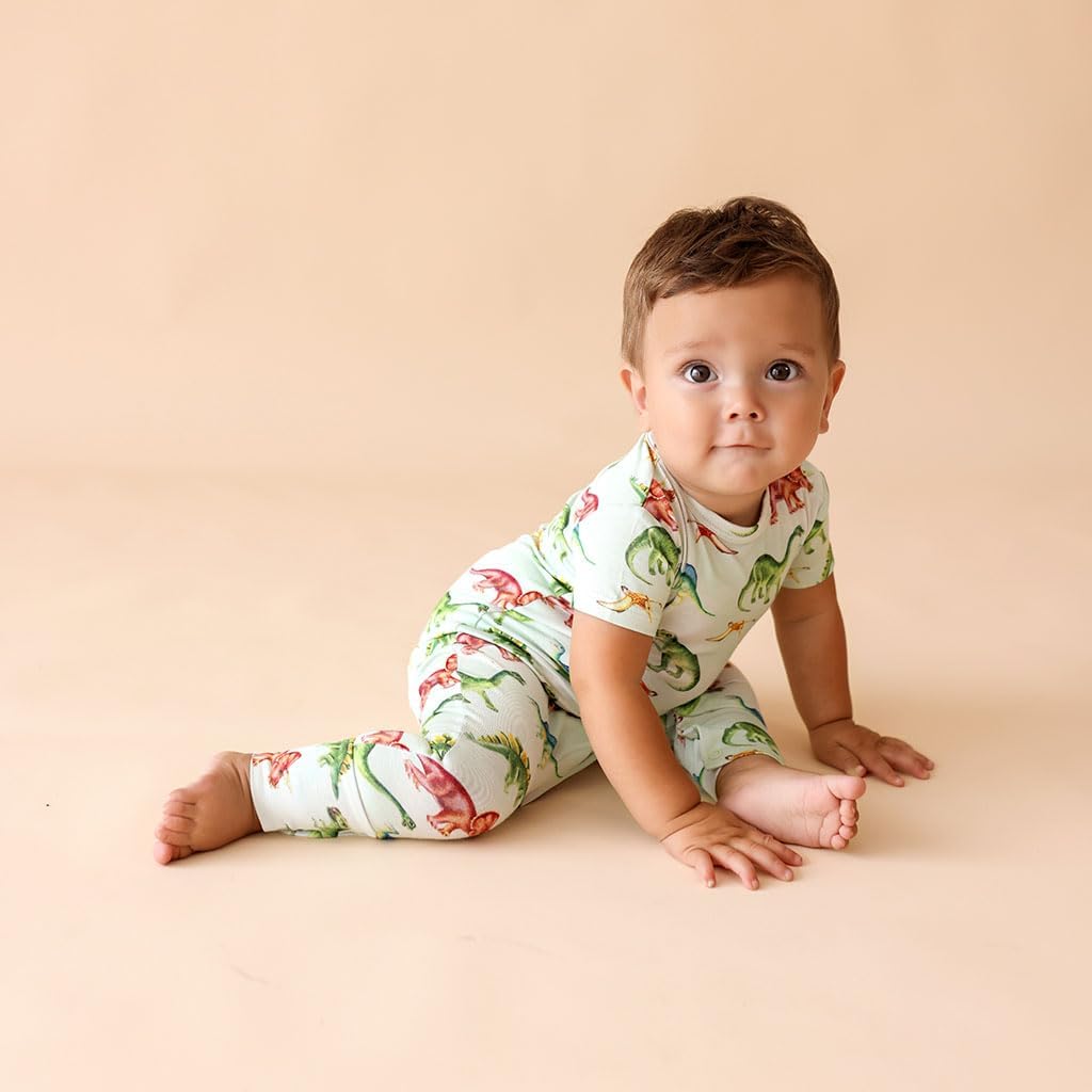 Posh Peanut Baby Romper with Snap Closure - Henley Short Sleeve Baby Boy Outfits - Soft Viscose Baby Pajamas Made from Bamboo