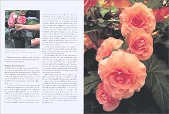 洋書 Begonias: The complete reference guide begoniascomplete00thom