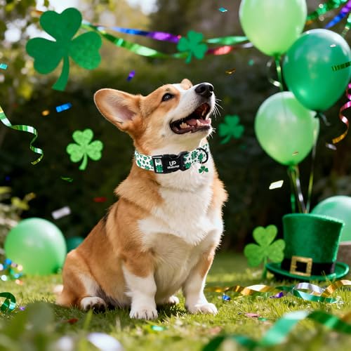 Image of St. Patrick's Day Dog Collar, UP URARA PUP Shamrock Adjustable Pet Collar with Quick Release, Dog Accessories for Small Medium Large Dogs
