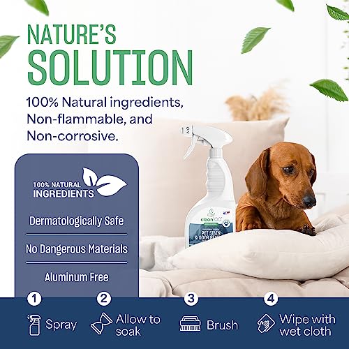 Image of Dog Bed Deodorizer Spray Cleaner - Pet Urine Odor Remover & Stain Eliminator | 100% Natural No Enzymes Pet Stain, Dog Urine, Cat Urine Carpet Cleaner | Poop Smell & Pee Odor Eliminator