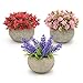 Magilot Plantas Artificiales Decorativas - Decoracion Hogar Habitacion Salon Baño Cocina Escritorio - Pack 3 Plantas Pequeñas con Flores Artificiales