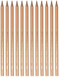 Referencia-C0130026 Alpino C0130026 - Caja, 12 unidades