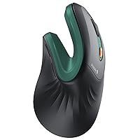 ProtoArc Mouse Ergonomico, EM11 NL Mouse Verticale Senza Fili Mouses Ottico Ricaricabile