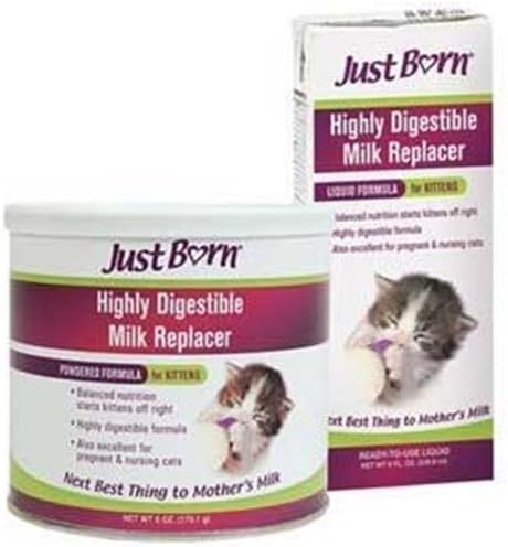 just born kitten formula
