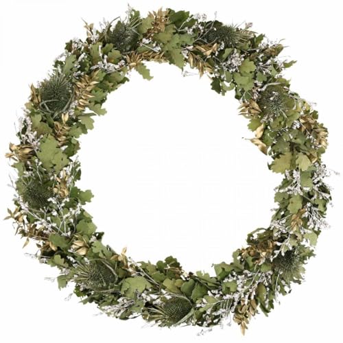 Weihnachtskranz Kardendistel Eichenlaub Dekokranz Trockenblumen Ø45cm...