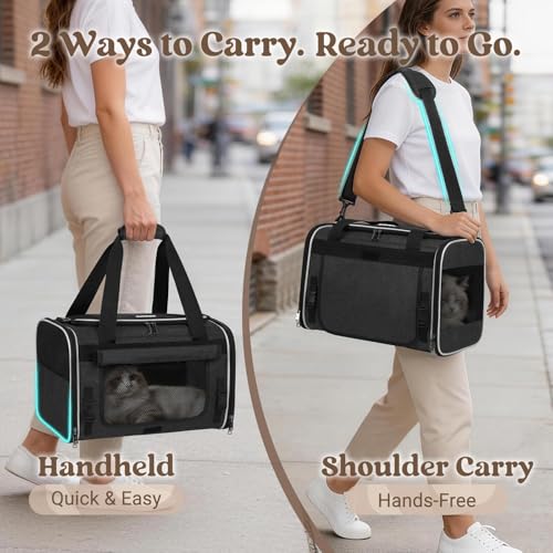 Image of rabbitgoo Cat Carrier Soft with Rollable Flap, Travel Safe for Car Airline