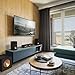 klipsch Reference Next-Generation R-30C Horn-Loaded Center Channel Speakers for Crystal-Clear Home Theater Dialogue in Black