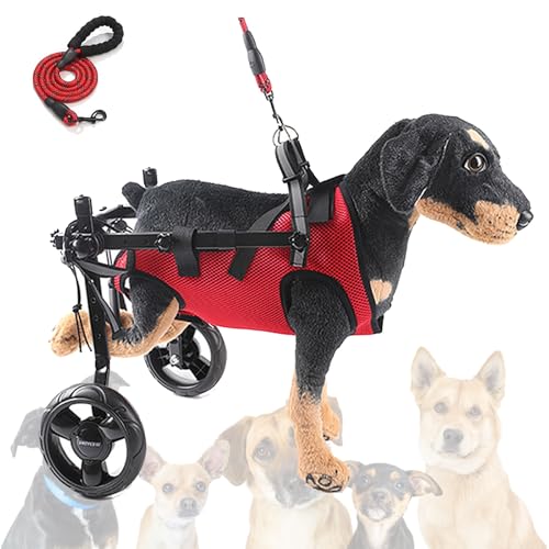 Silla de ruedas para perros pequeños, soporte ajustable para patas traseras, ayuda de movilidad para mascotas discapacitadas, ayuda para la recuperación de displasia de cadera