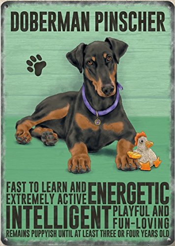 Large (300 x 400mm) Metal Sign - Doberman