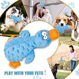 Halinuia Hundespielzeug, Hund Quietschspielzeug Plüschtier Hund mit Knitterpapier, Plüsch Kauspielzeug für Aggressive Kauer, Welpen, kleine, mittlere Hunde, Blau