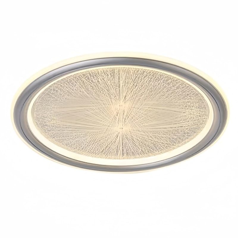 Plafonnier LED moderne 48W en fer et acrylique rond pour l'éclairage de votre salon