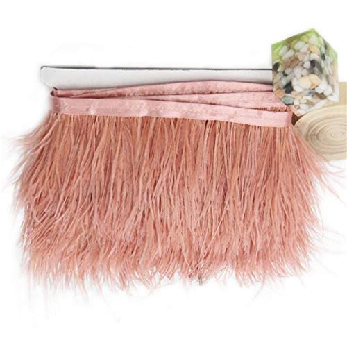 RAILONCH - Nastro di raso con piume di struzzo, lunghezza 2 metri, larghezza 10 m, per lavori fai da te, decorazione (rosa scuro)