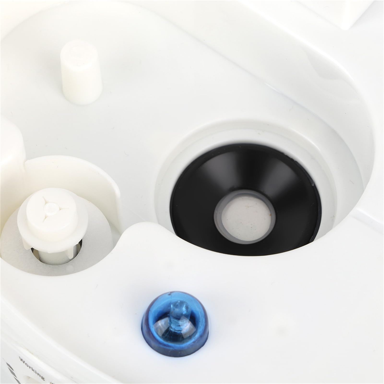 Humidificador de Reptiles, nebulizador de Reptiles con Tanque Grande de 3 l y Tubo de extensión, Ideal para una Variedad de Reptiles, Anfibios y recinto de terrarios(Normativas Europeas)