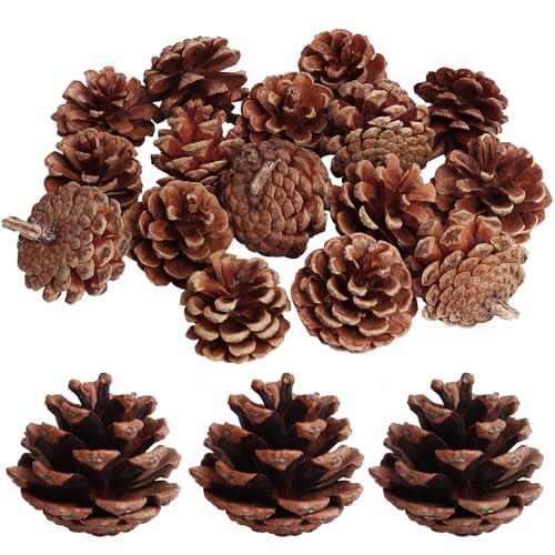 SBYURE 20 Pack 2.4 Inch Pinecones Bulk Package of Natural Pinecones...