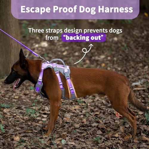 Huntboo HD09-LAVENDER PURPLE-M Reflective Dog Harness With Handle, Escape Proof, No Slip thumb #1
