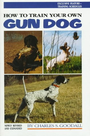 When Can You Start Training A Gun Dog