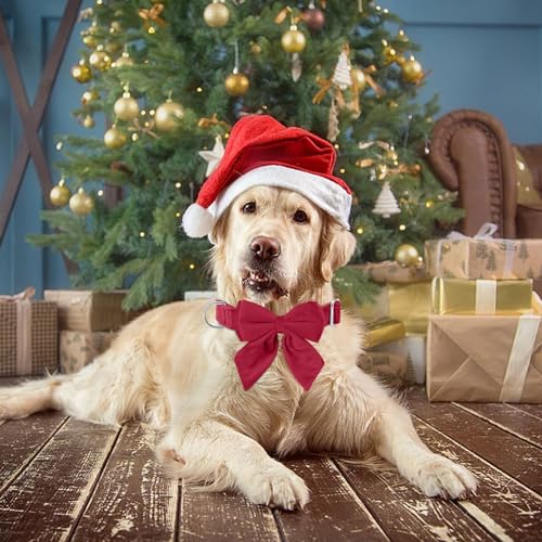 Tie KTWSUEF Hundehalsband Fliege Samtige, Fliege für Hunde, Komfortable Haltbarkeit Halsband Hund, Abnehmbares und verstellbares Fliege Hunde Für Hochzeiten, Geburtstage, Festliche