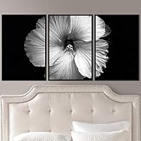 3 Piece Framed Canvas Wall Art Black and White Botanical Canvas Prints Home Artwork Decoration for Living Room,Bedroom - 16