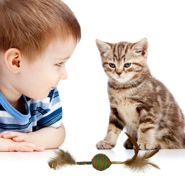 Emily Pets Feather Cat Toys - Soft Plush Furry Funny Cat Balls for Kitten Chasing Exercise Playing Training, Indoor Use 3