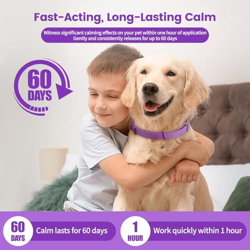 Image of Calming Dog Collar - Fast-Acting, Lasts 60 Days, Choke-Free Design, Pheromone-Infused for Anxiety & Stress Relief, Ideal for Separation Anxiety - Fits Small, Medium & Large Dogs (Black, 1 Pack)