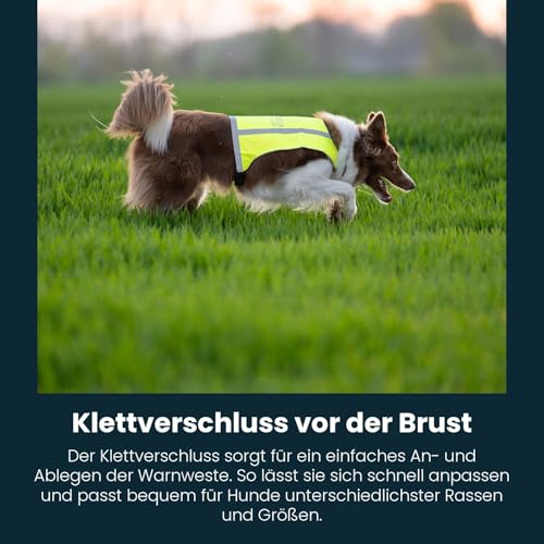 Axaeco Hunde Warnweste - wendbar in Signalgelb & Signalorange, extrem Robustes Cordura (Wind- & wasserdicht), 3M™ Reflektorstreifen, elastischer Bauchgurt (L)