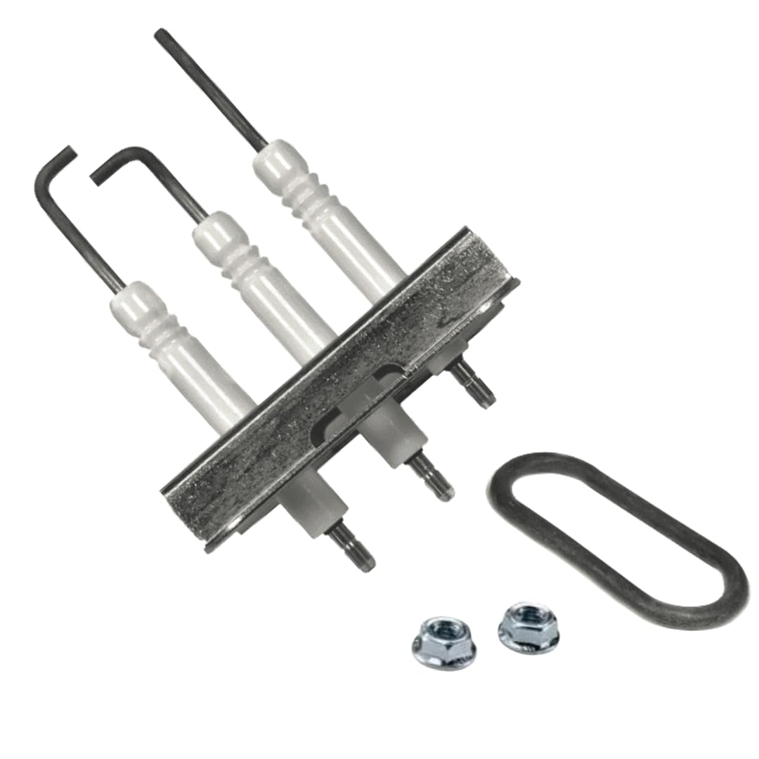 Aspares As Per Image Compact Electrode Kit Compatible With Worcester Greenstar 30 Ri Compact Series - 871860028A0