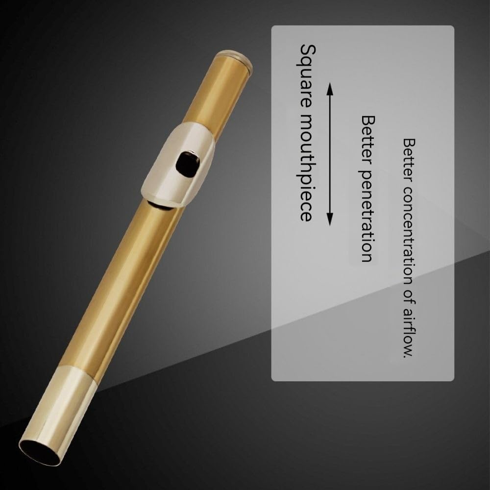 Flauta de 16 teclas con llaves plateadas en oro, flauta con boquilla cuadrada, cuerpo de tubo de cobre blanco, tecnología de oro pintado, tono redondo y sensación cómoda, adecuada for principiantes y