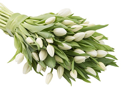 Blooms2Door KBDF1290-V999-A999 Prime Next Day Delivery - Fall Collection - 50 White Tulips (Farm-Fresh, Cut-To-Order And Homegrown In The Usa). Gift thumb #3