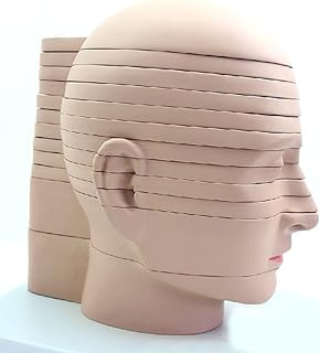 TCCOC Removable Human Brain Cross-Section, Human Head Cross Section Model 12 Parts Medical Head Cross Section Horizontal Section Model for Medical Classroom Study