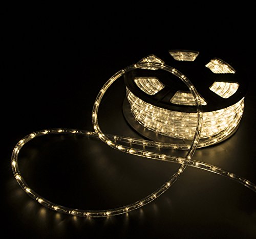 Sliverylake Warm White 100Ft Led Rope Lights Home In/Outdoor Christmas Decorative Party Lighting 1080 Leds 2 Wire 110V #TOP5